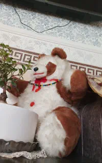 خرس