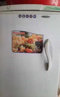 یخچال فریزر هانیزان