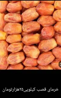 مدیر فروش خانم