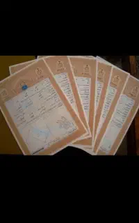 اجاره سند،فیش حقوقی،جوازکسب،ضمانت ازادی زندانی