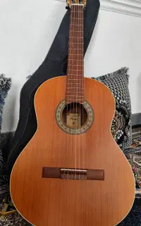 فروش گیتار پارسی p40