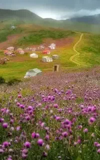 تور ییلاق سلانسر