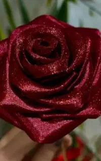 گل روبانی،مجسمه فرشته