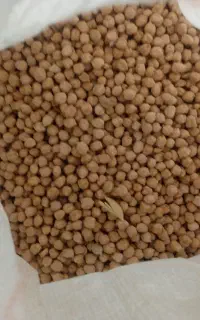 خرده فروشی