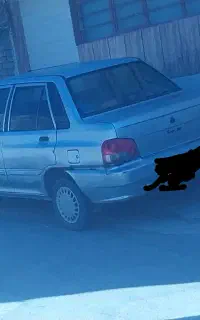 سرویس مدارس. راننده خانم