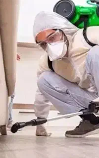 سمپاشی همه حشرات موریانه موش مارمولک ساس باضمانت