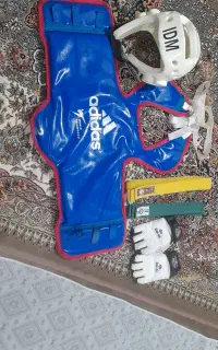 هوگو و کلاه و دستکش تکواندو