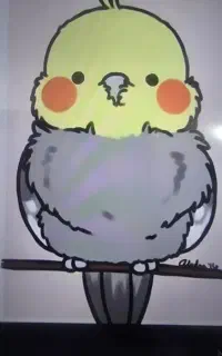 عروس هلندی پیدا کردم