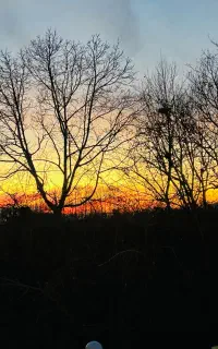 نگهبان بیست و چهار ساعته باغ