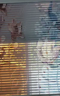 پرده زبرا