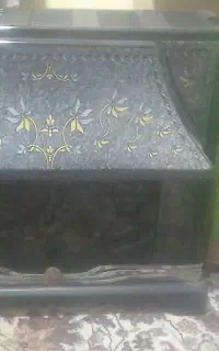 بخاری در حد نو