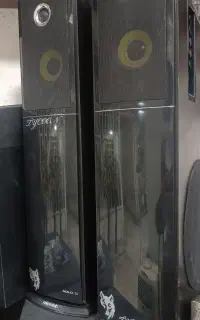 یک جفت باند میکرولب اصلی