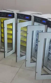 دستگاه جوجه کشی«با رعایت اصول بهداشتی