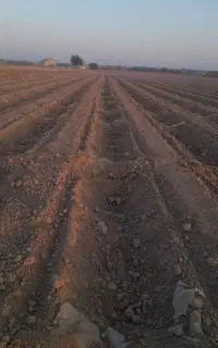 گوشه بندی و بست زنی
