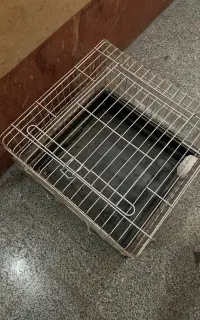 قفس خرگوش