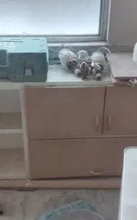 کابینت وهود