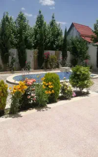 کارت ملی گم شده