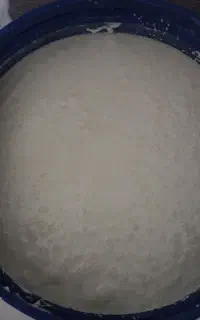 با سلام فروش خسه دوغ