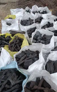 فروش ذغال کبابی