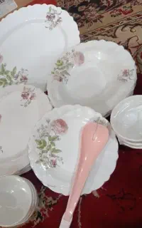 سرویس غذا خوری ایروپال 25پارچه