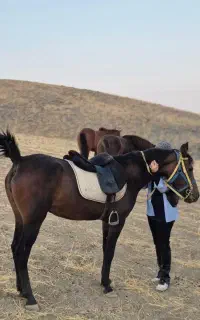 مادیون خالص ایرانی