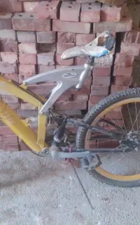 دوچرخه 24   حرفه ای