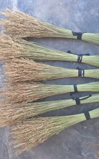 جارودستی