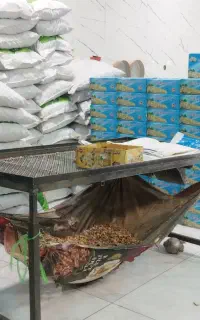 استخدام نیروی کار در کارگاه گردو