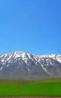 انجام خدمات کشاورزی با تراکتور