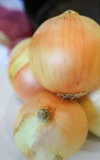 پیاز خوراکی