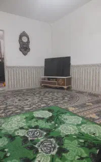 تلویزون