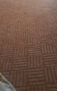 موکت سالم