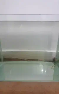 اکواریوم شیشه خم با پمپ