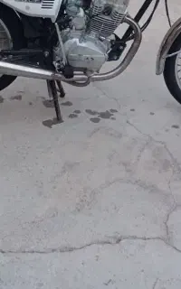 رینگ سیمی