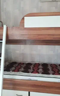 تخت دو طبقه جوان و نو جوان