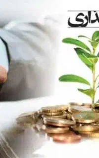 جذب سرمایه گذار