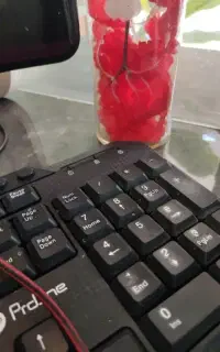 متصدی کافی نت