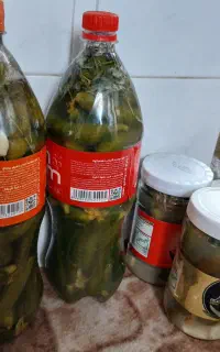 خیار شور و ترشیجات خانگی بانو