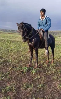 اسب