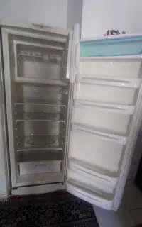 یخجال دو قلوی پارس