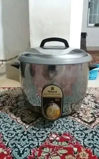 پلوپز برقی ناسینول