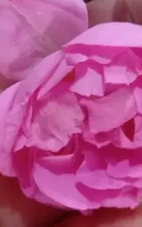 سرکتاب