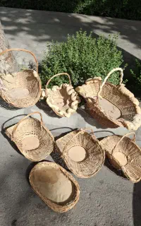 سبدحصیری ۷ عدد سالم همه با هم