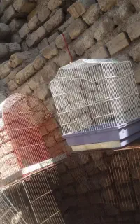 قفس بزرگ
