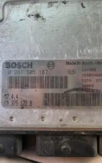 ایسیو بوش