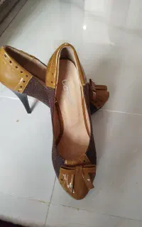 کفش مجلسی