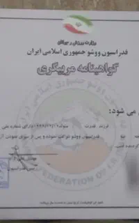 اموزش خصوصی کونگ فو سبک مستقل / جیت .کان.دو