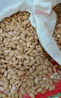 بادام سنگی تازه