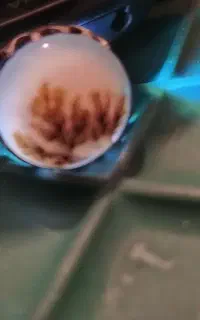 معاوضه با پرنده