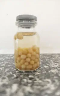 خاویارحلزون